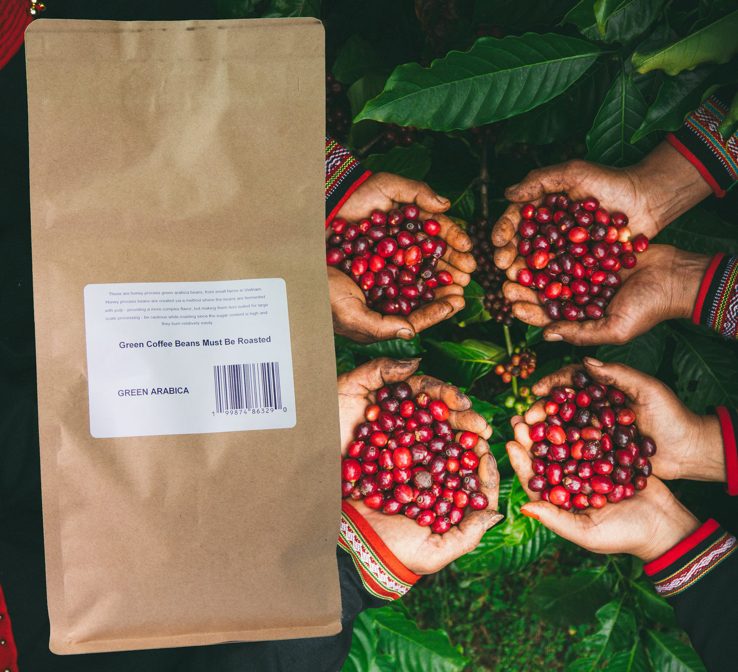 Beanzilla Vietnamese Honey Processed Arabica – Green Coffee Beans