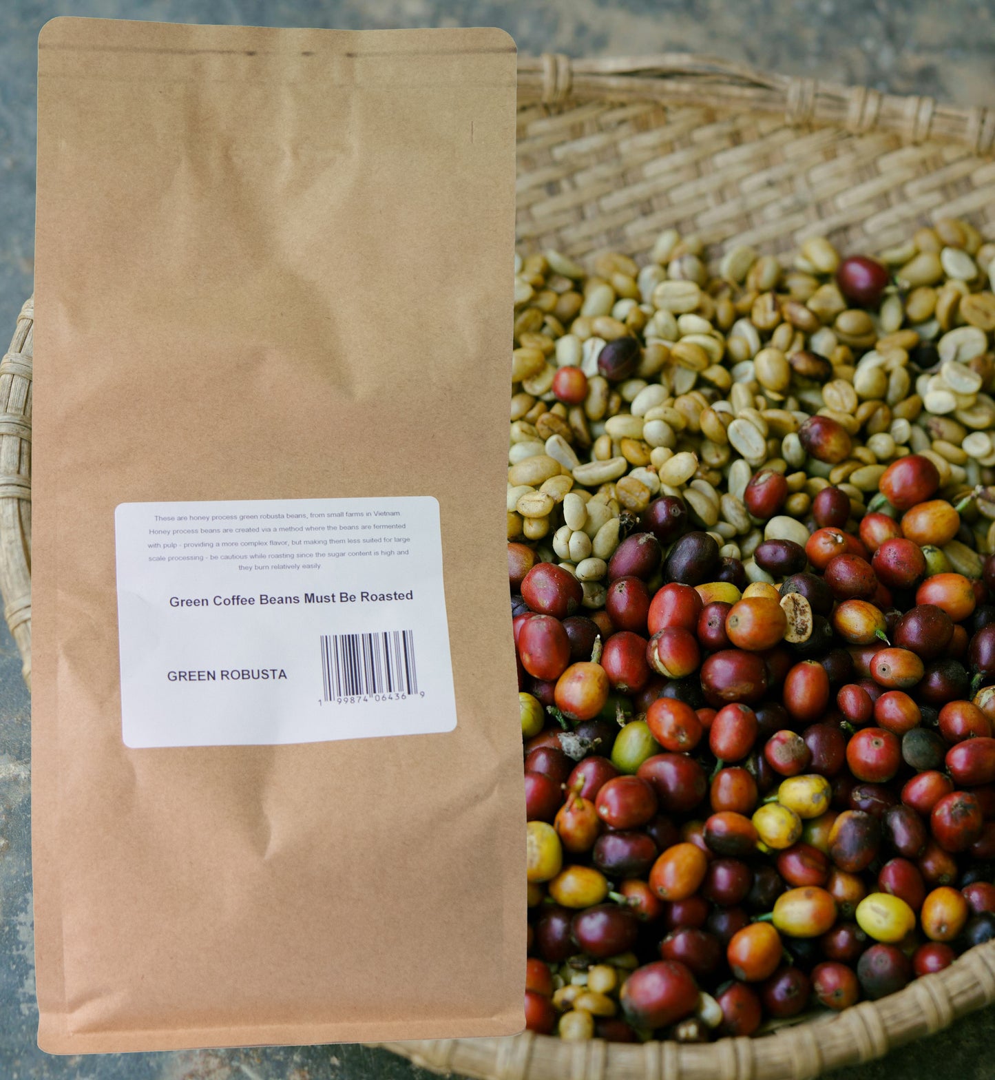 Beanzilla Vietnamese Honey Processed Robusta – Green Coffee Beans