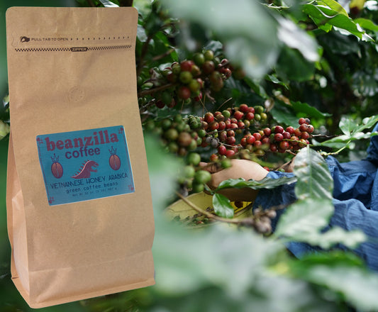 Beanzilla Vietnamese Honey Processed Arabica – Green Coffee Beans