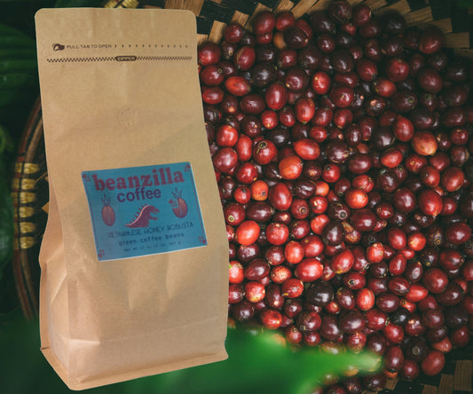 Beanzilla Vietnamese Honey Processed Robusta – Green Coffee Beans